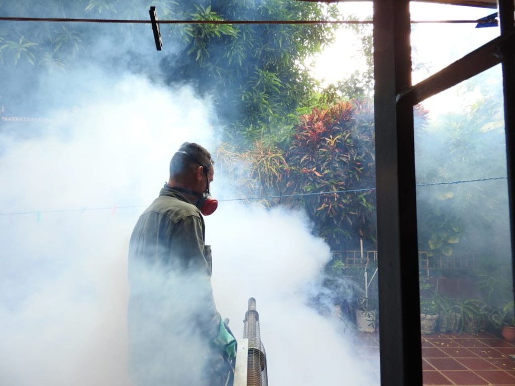 La Municipalidad profundiza la campaña contra el dengue