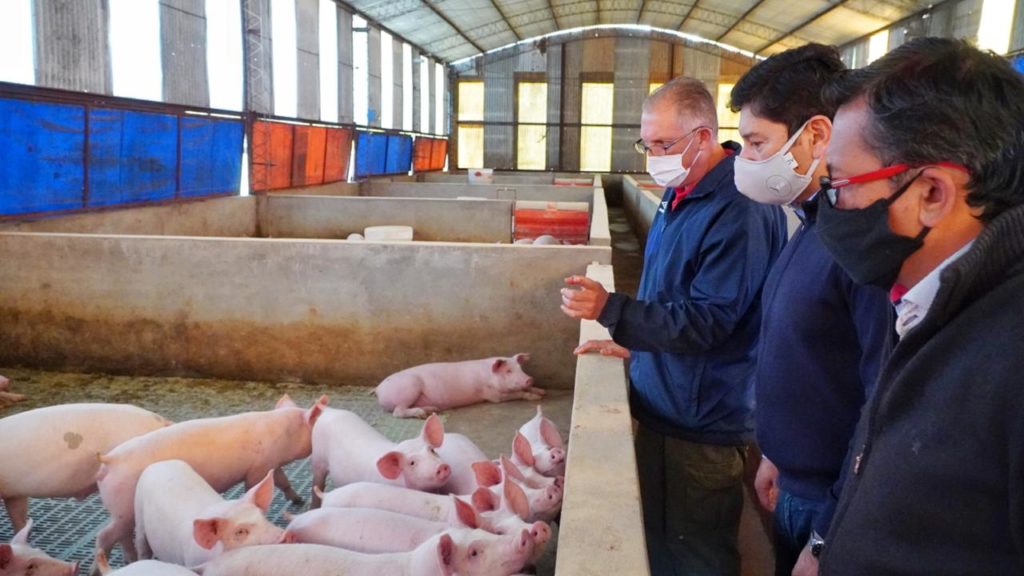 Presidente del IFAI planificó acciones con productor de cerdos que comercializa en el Mercado Concentrador Zonal de Posadas
