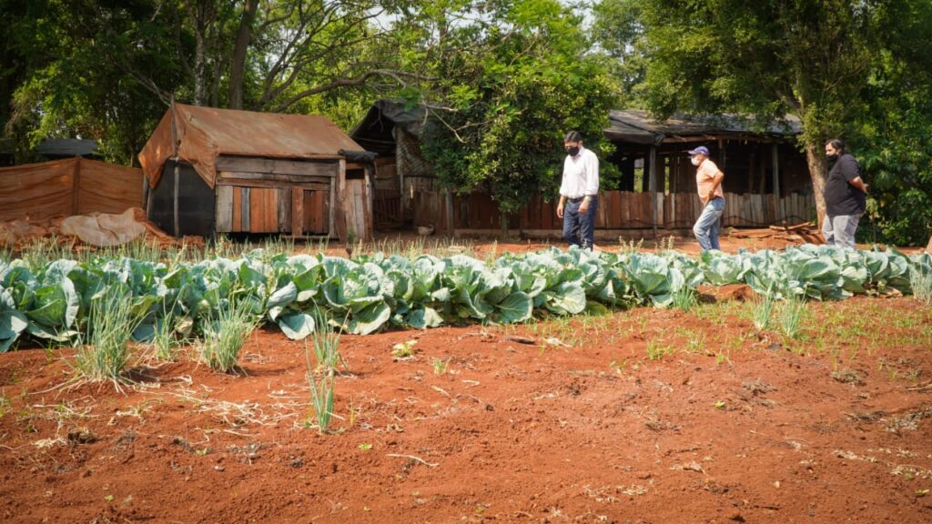 Entregan semillas en Puerto Libertad y planifican apoyo a micro emprendimientos