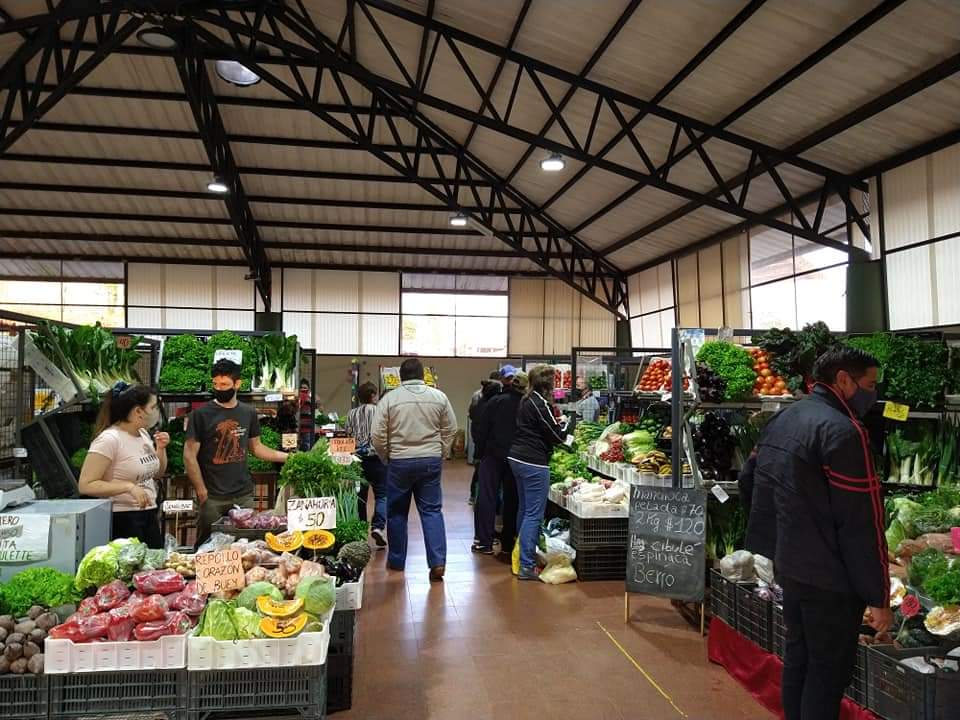La producción de alimentos de la chacra misionera, en el Mercado Concentrador Zonal de Oberá