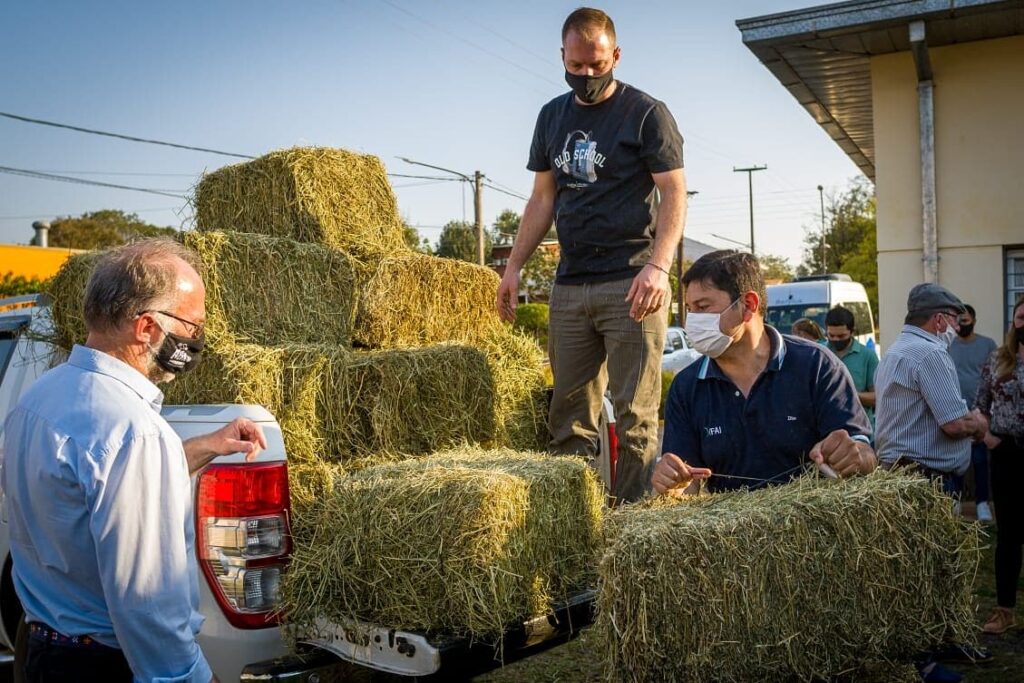 En Cerro Azul, el IFAI y el Ministerio del Agro entregaron suplementos forrajeros a productores ovinos