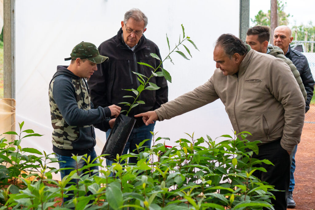 Funcionarios del IFAI visitaron a productor frutícola de Cerro Azul