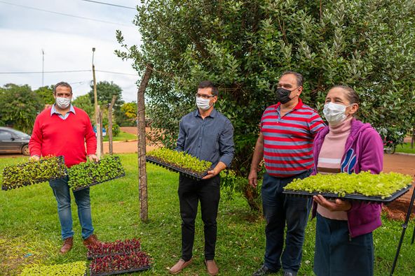 Asistieron con plantines a productores hortícolas de Mojón Grande